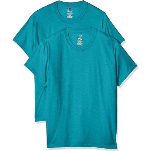 Hanes | Shirts | Hanes Mens Short Sleeve Xtemp W Freshiq Tshirt 2pack ...
